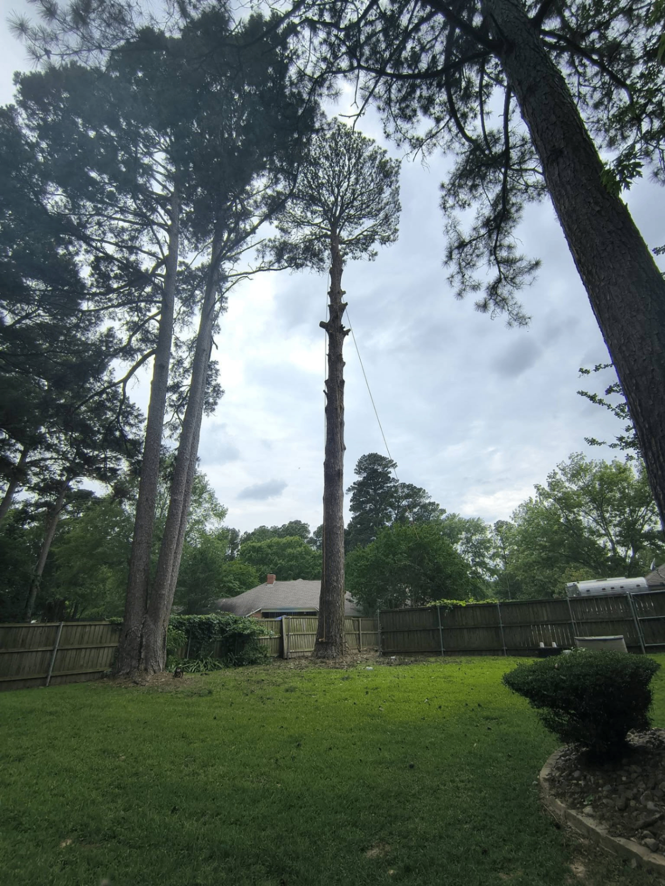 Pine Topping project in Central Texas