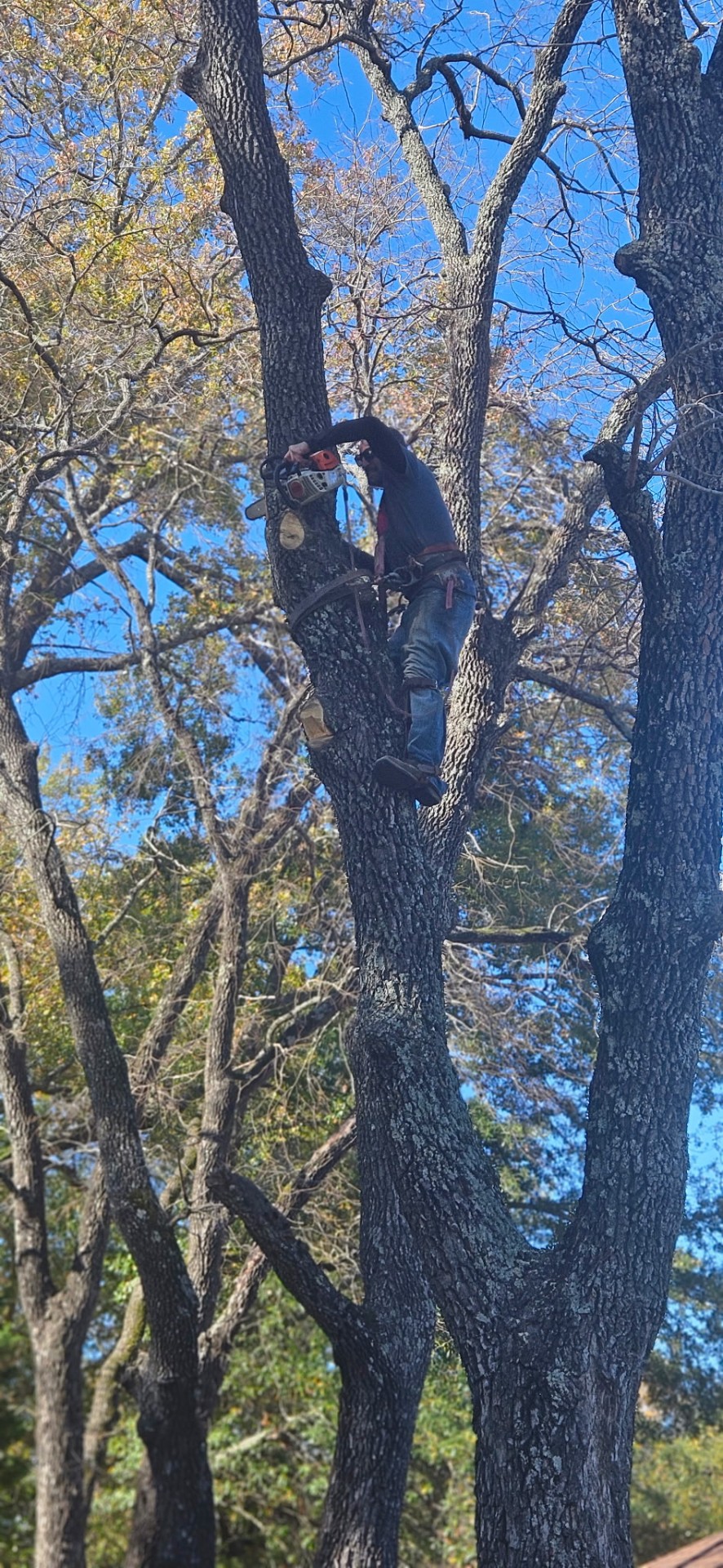 Certified Climber project in Central Texas