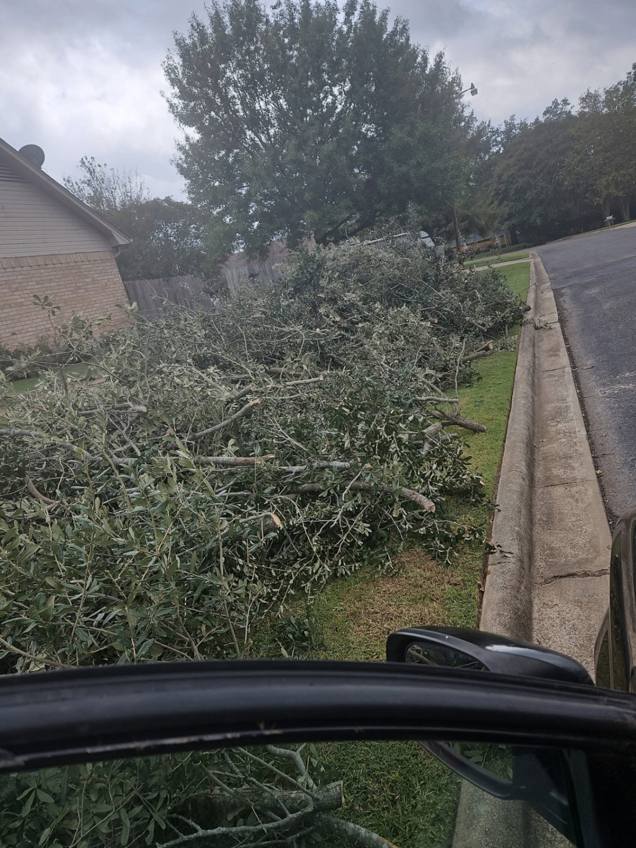 Stump Grinding in Central Texas